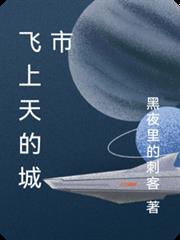 黑夜裡的刺的第1本書