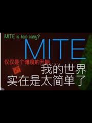 我的世界：從MITE開始的生存