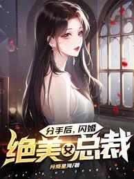 分手後，閃婚絕美女總裁