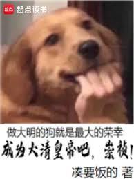 成為大清皇帝吧，崇禎！