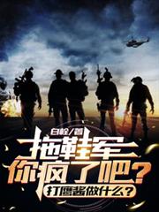 拖鞋軍你瘋了吧？打鷹醬做什麼？