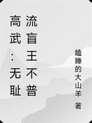 高武：無恥流盲王不普