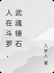 人在斗羅，武魂錘石