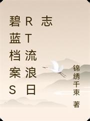 碧藍檔案srt流浪日誌