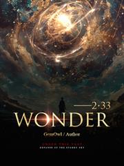 WONDER2，33