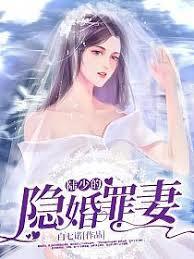 陸少的隱婚罪妻