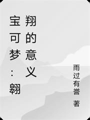 寶可夢：翱翔的意義